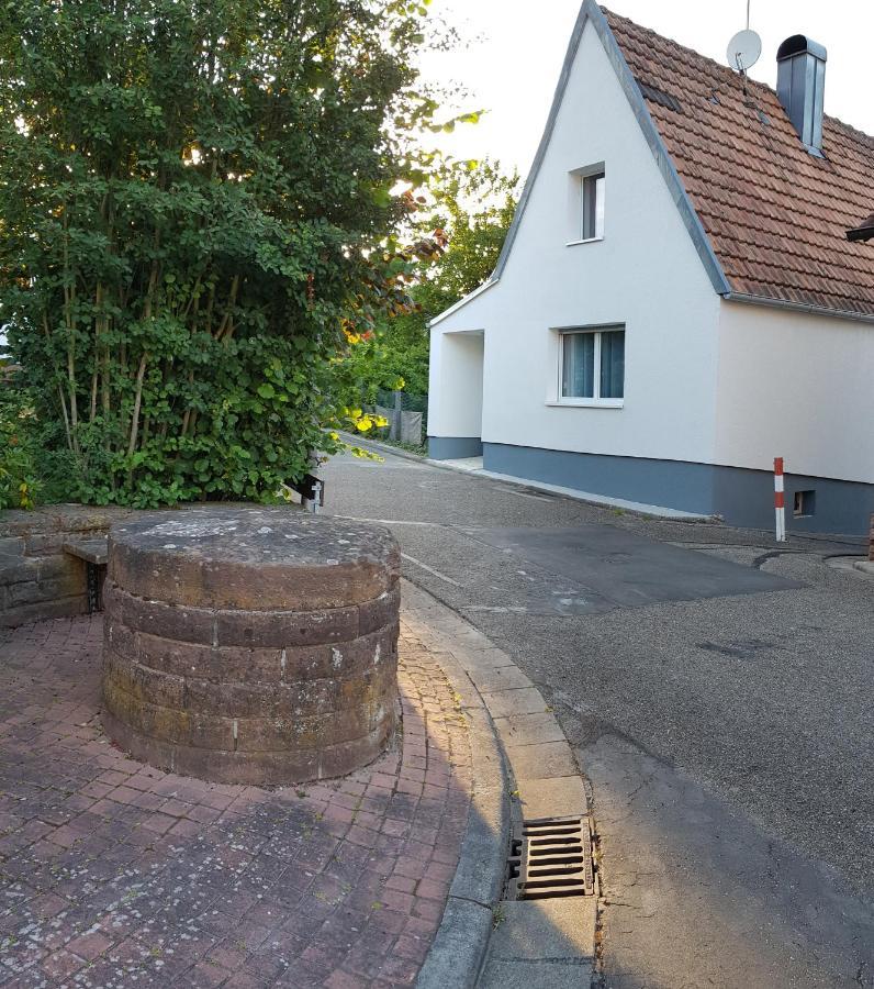 Ferienhaus Alexandra Bollenborn Buitenkant foto